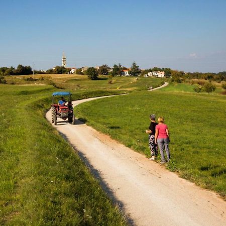 Rural Apartment Carolina Zrenj Εξωτερικό φωτογραφία