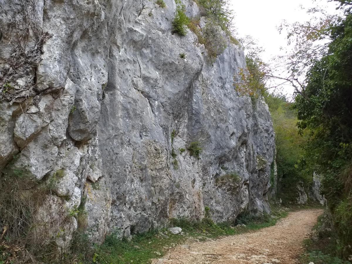 Rural Apartment Carolina Zrenj Εξωτερικό φωτογραφία