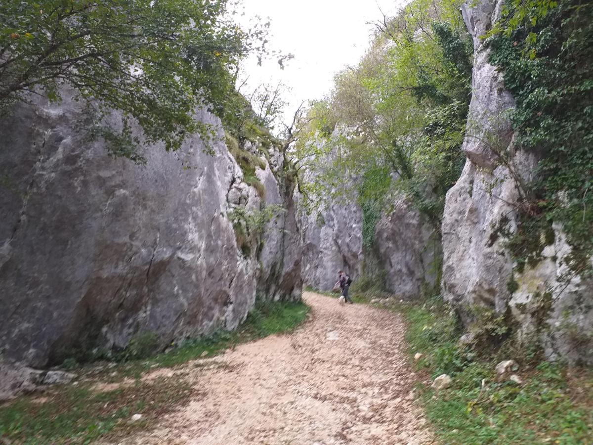 Rural Apartment Carolina Zrenj Εξωτερικό φωτογραφία